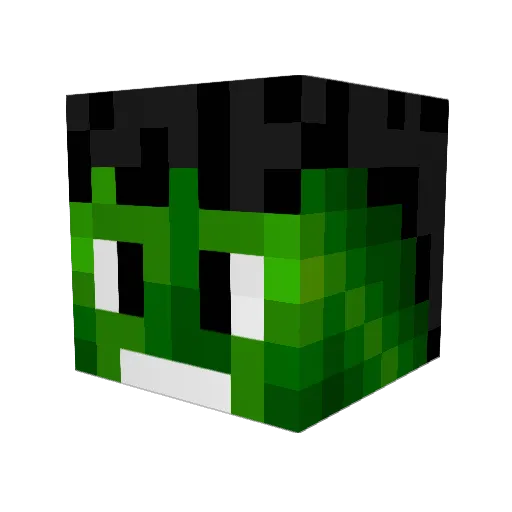 StarWarsAirman Minecraft avatar head, 3D render
