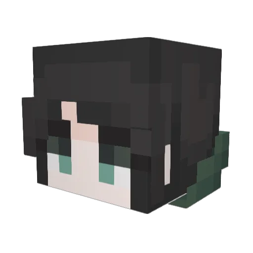 StarWarsguy Minecraft avatar head, 3D render