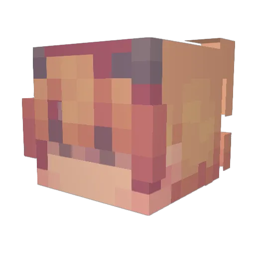 StarWillDo Minecraft avatar head, 3D render