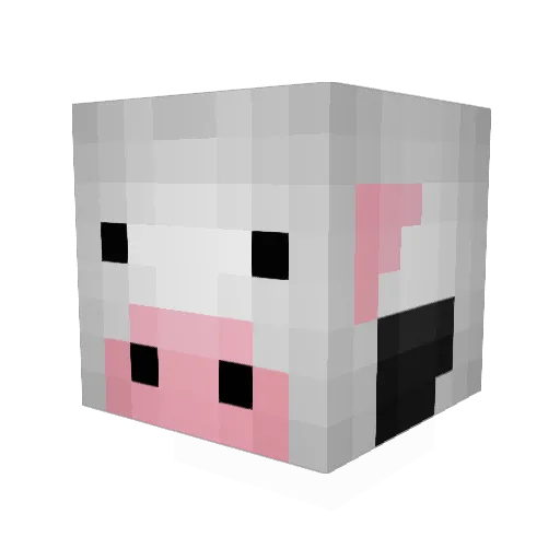 StarXloop Minecraft avatar head, 3D render