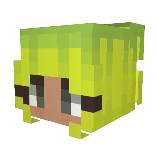 StarZeri Minecraft avatar head, 3D render