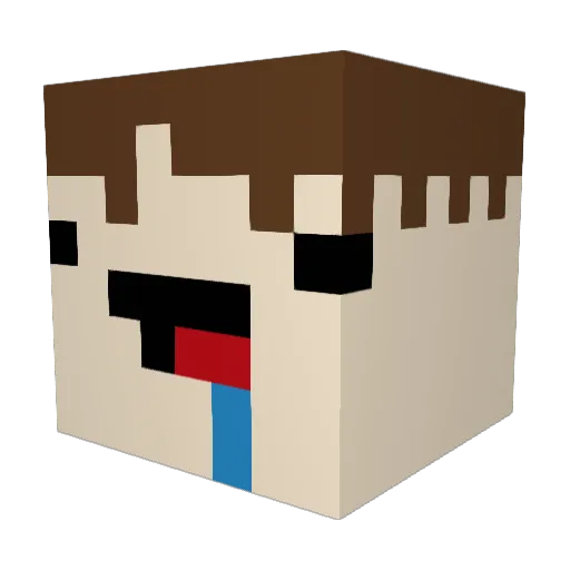 Star_D2 Minecraft avatar head, 3D render