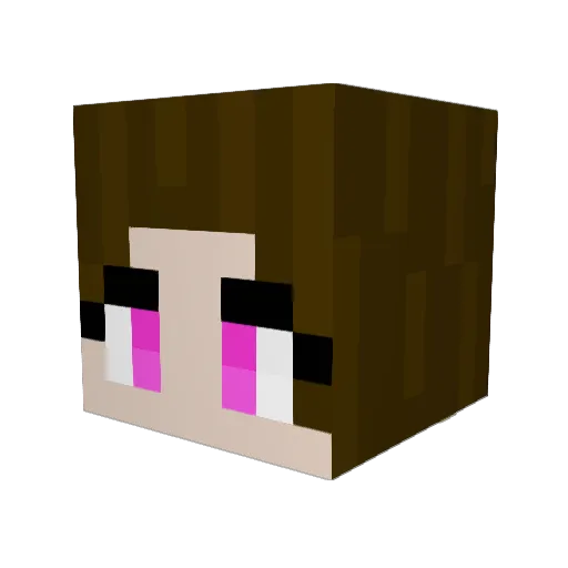 Star_Healer Minecraft avatar head, 3D render