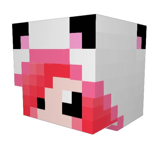 Star_Iwashi Minecraft avatar head, 3D render