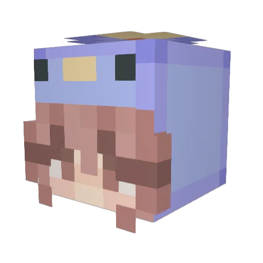 Star_Killer15 Minecraft avatar head, 3D render