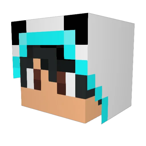 Star_Lord619 Minecraft avatar head, 3D render