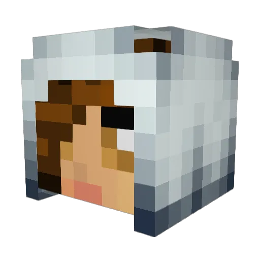Star_Neko1989 Minecraft avatar head, 3D render
