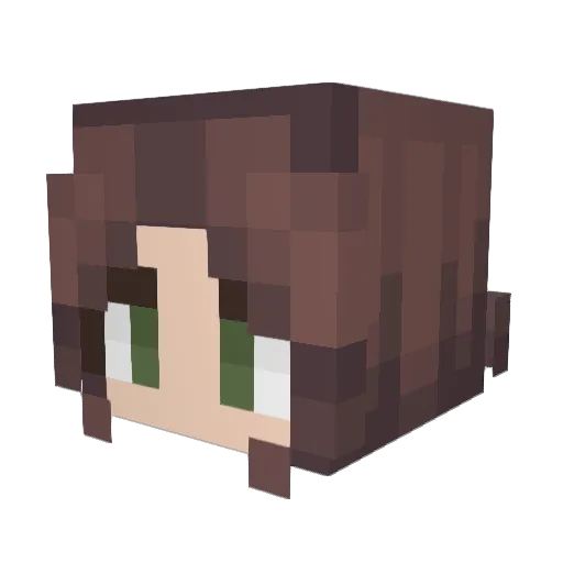 Star_Stride Minecraft avatar head, 3D render