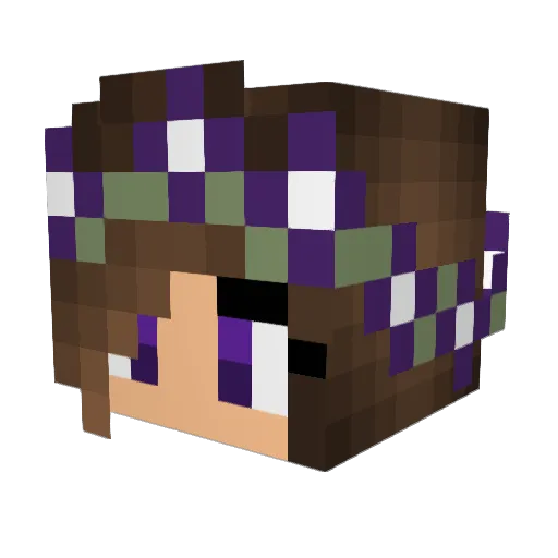 Star_Wars_Girl10 Minecraft avatar head, 3D render