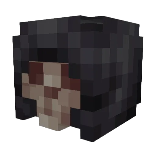 Star_Wraith Minecraft avatar head, 3D render