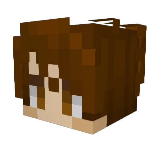 Star_Xiaolin Minecraft avatar head, 3D render