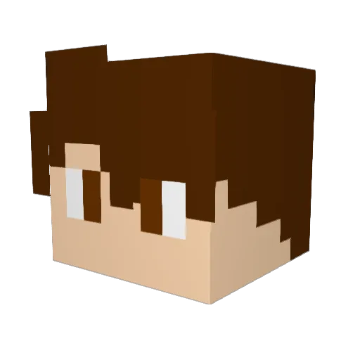 Star_ZW Minecraft avatar head, 3D render