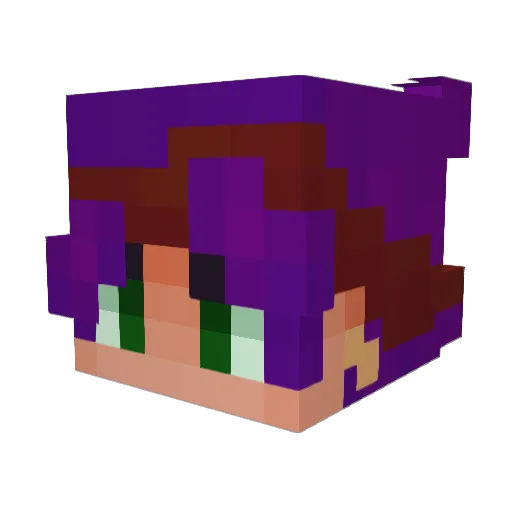 Star_quilz Minecraft avatar head, 3D render