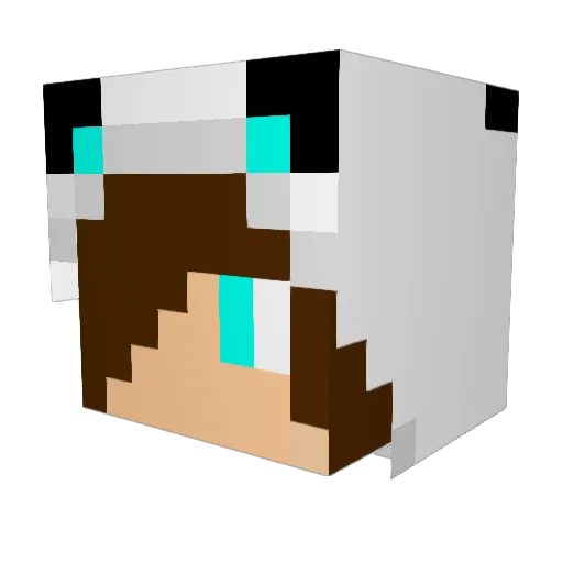 Star_sea Minecraft avatar head, 3D render
