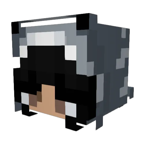 Star_xD10 Minecraft avatar head, 3D render
