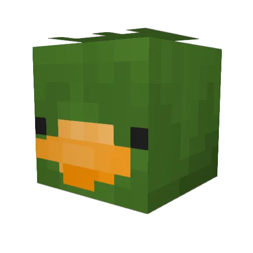 StarandDylenBro Minecraft avatar head, 3D render