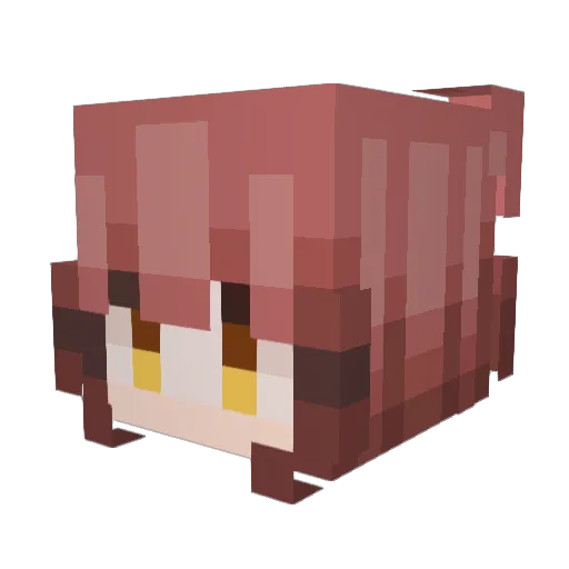 Starapuszka123 Minecraft avatar head, 3D render