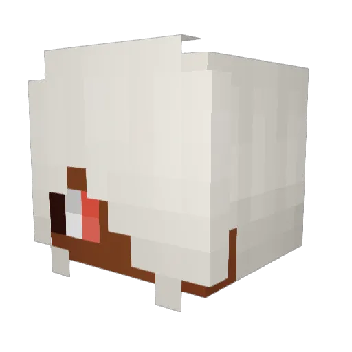 Starbe_ Minecraft avatar head, 3D render