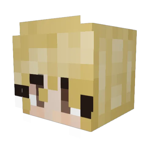 Starbomb4827 Minecraft avatar head, 3D render