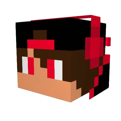 Starboy2402 Minecraft avatar head, 3D render