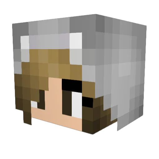 Starbucks48 Minecraft avatar head, 3D render