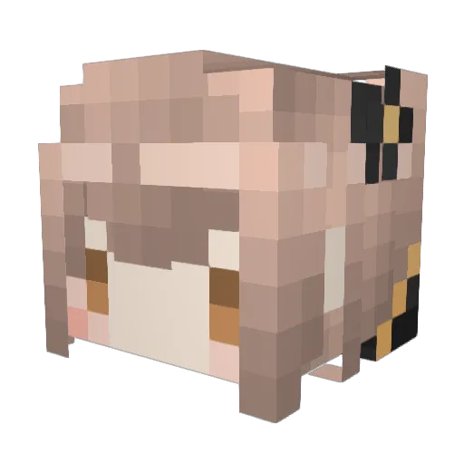 Starbust_Stream Minecraft avatar head, 3D render