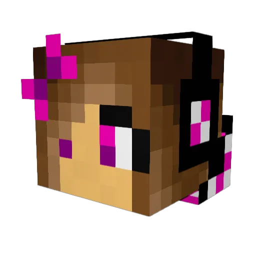 Starcraft14 Minecraft avatar head, 3D render