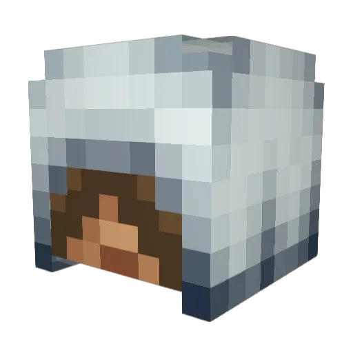 Starcrafter007 Minecraft avatar head, 3D render