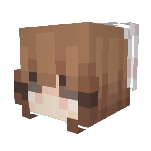 Stardae Minecraft avatar head, 3D render