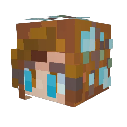 StardateIndef Minecraft avatar head, 3D render