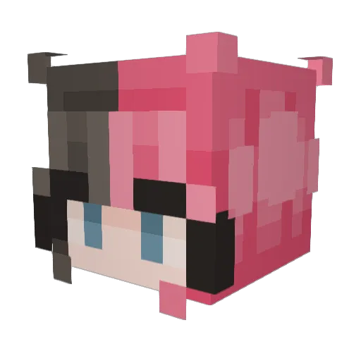 Stardust714 Minecraft avatar head, 3D render