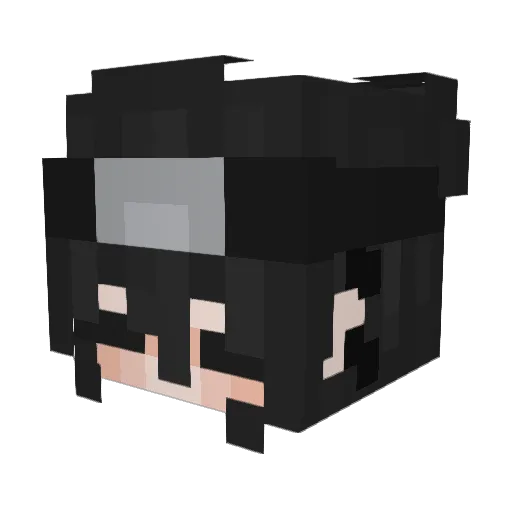 StardustD Minecraft avatar head, 3D render