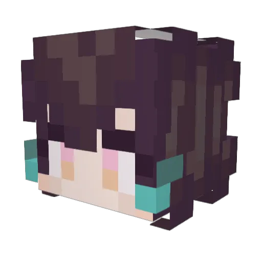 Stardust_Bun Minecraft avatar head, 3D render