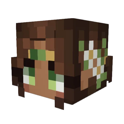 Stardusty123 Minecraft avatar head, 3D render