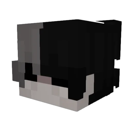 Stareb Minecraft avatar head, 3D render