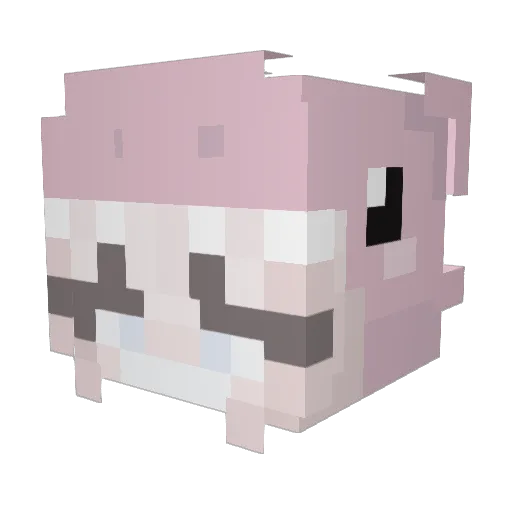 Starfinding Minecraft avatar head, 3D render