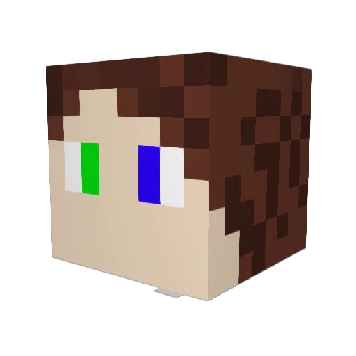Starfire17008 Minecraft avatar head, 3D render