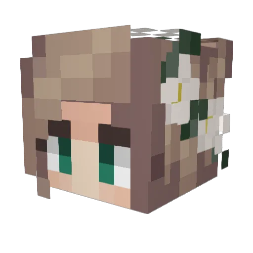 Starfire441 Minecraft avatar head, 3D render