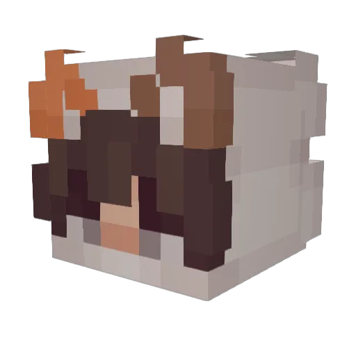 Starfish1501 Minecraft avatar head, 3D render