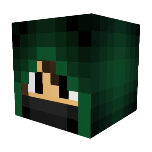 Starflight230 Minecraft avatar head, 3D render