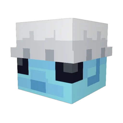 Starfouboy Minecraft avatar head, 3D render