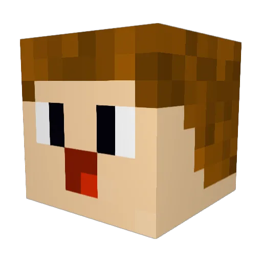 Stargamer_16 Minecraft avatar head, 3D render