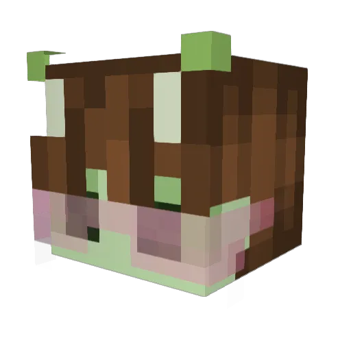 Stargazer14 Minecraft avatar head, 3D render