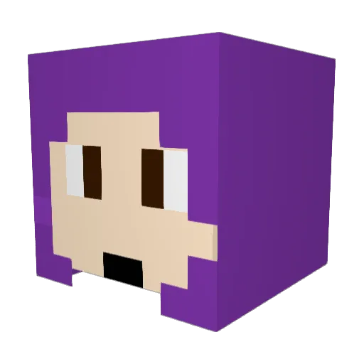 Stargazer2575 Minecraft avatar head, 3D render
