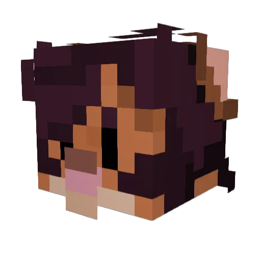 StargazerBlu Minecraft avatar head, 3D render