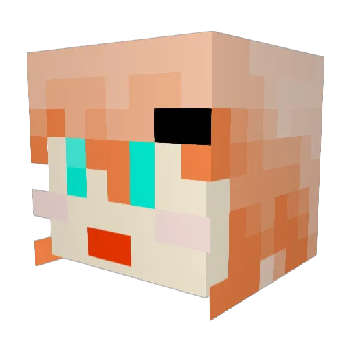 StargazerIris Minecraft avatar head, 3D render