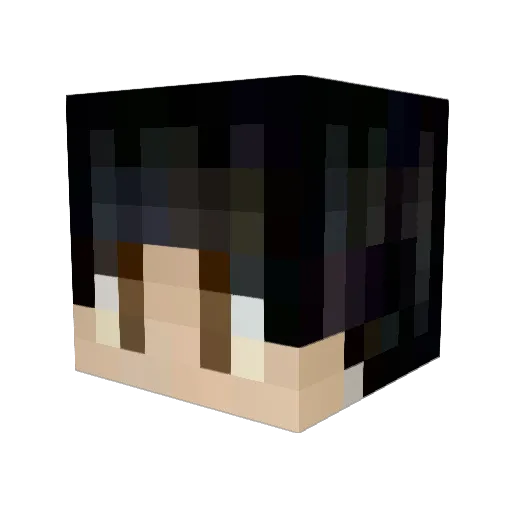 StargazerSaul Minecraft avatar head, 3D render