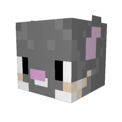 Stargazers Minecraft avatar head, 3D render