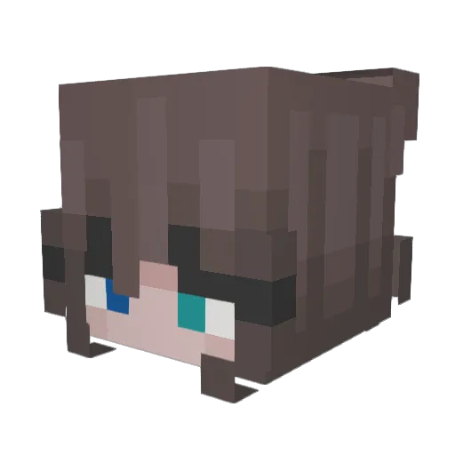 Stargazorlily Minecraft avatar head, 3D render