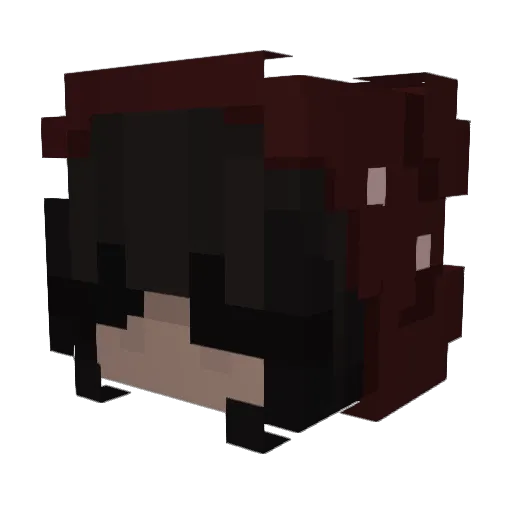 Stargirl0_0 Minecraft avatar head, 3D render